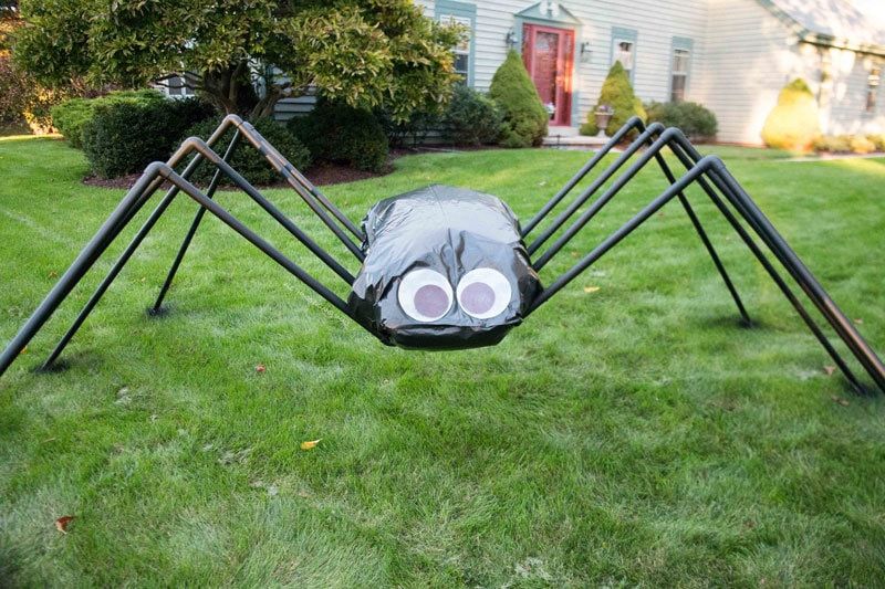 Man-Spider: New Superhero Spotted in San Francisco